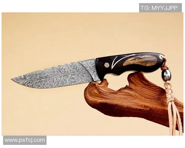 探秘世界十大名刀品牌背后的工艺与文化传承