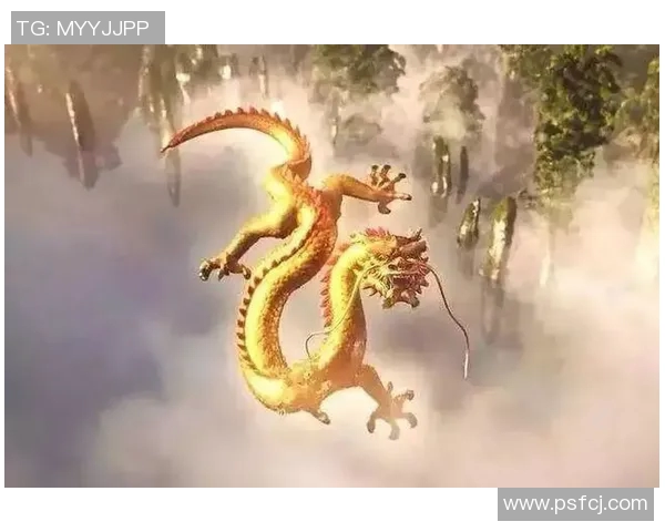 雅库布的传奇人生与不屈精神探秘之旅