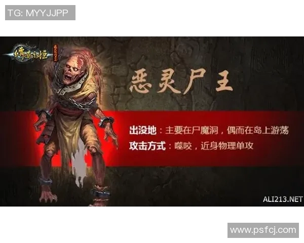 谢什科的传奇人生与不屈精神探秘之旅