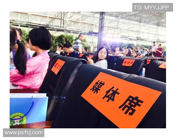 湖南经视回放带你领略精彩瞬间与深度报道的完美结合